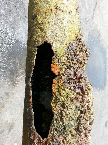 Pilonne de pontons 