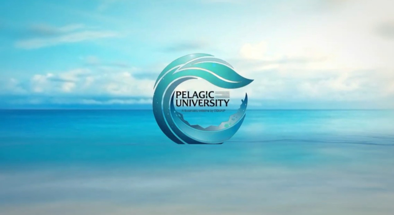 Pelagic University" : Une initiative de la COMAIP pour l'avenir de la pêche pélagique au Maroc 