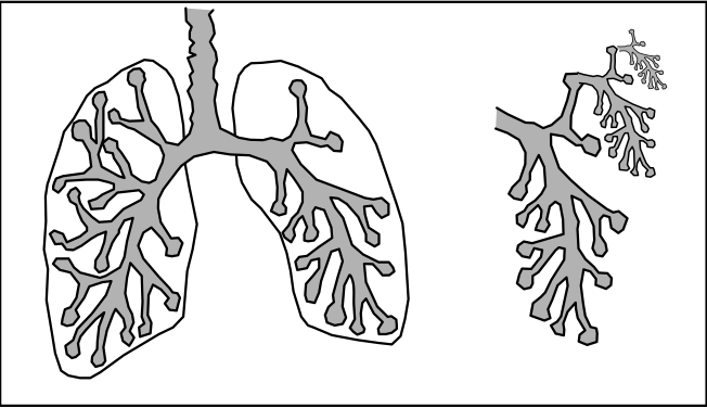 Screenshot 2021 06 07 09 31 09 480