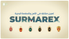 جانب من الأنشطة المبرمجة للتمرين المشترك في الأمن والسلامة البحرية "SURMAREX 26"